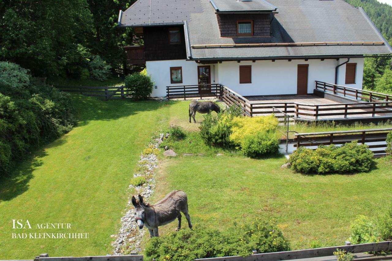 Ski-To-Door Dorfblick Diamant Apartment Bad Kleinkirchheim Exterior photo